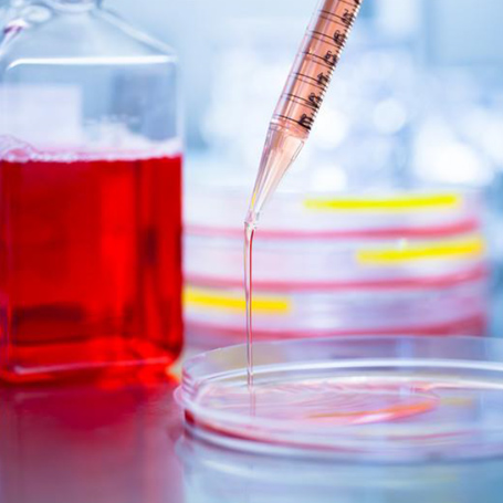 Laboratory Services - Southwoods Animal Hospital