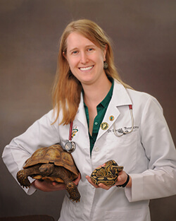 Dr. Timmons Dr. Timmons