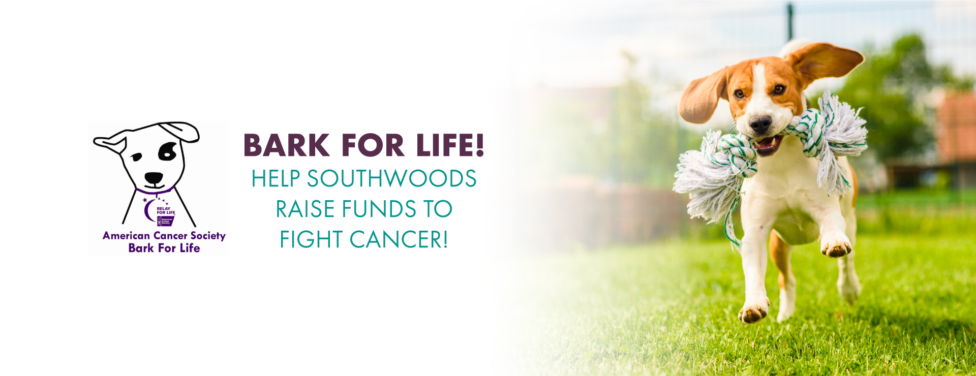 Greensboro Veterinary Hospital Southwoods Animal Hospital